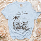 Light blue t-shirt with "Just Married. Financially Irresponsible." and beach scene.